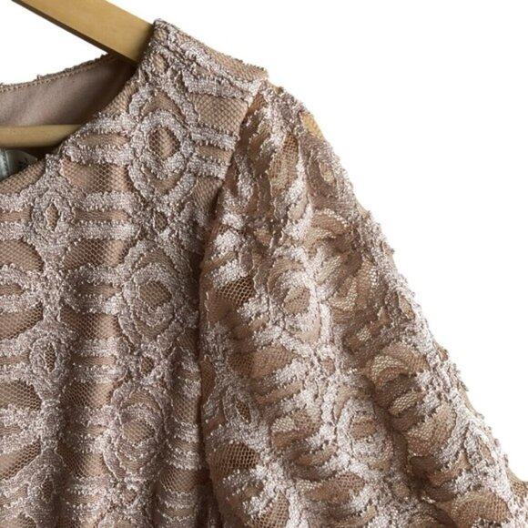 Eliza J Lace Dress Size 16 Champange - Picture 5 of 12